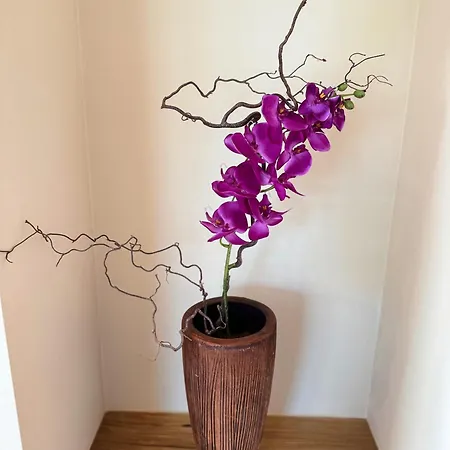 شقة Crown Luxury 2br In Downtown *